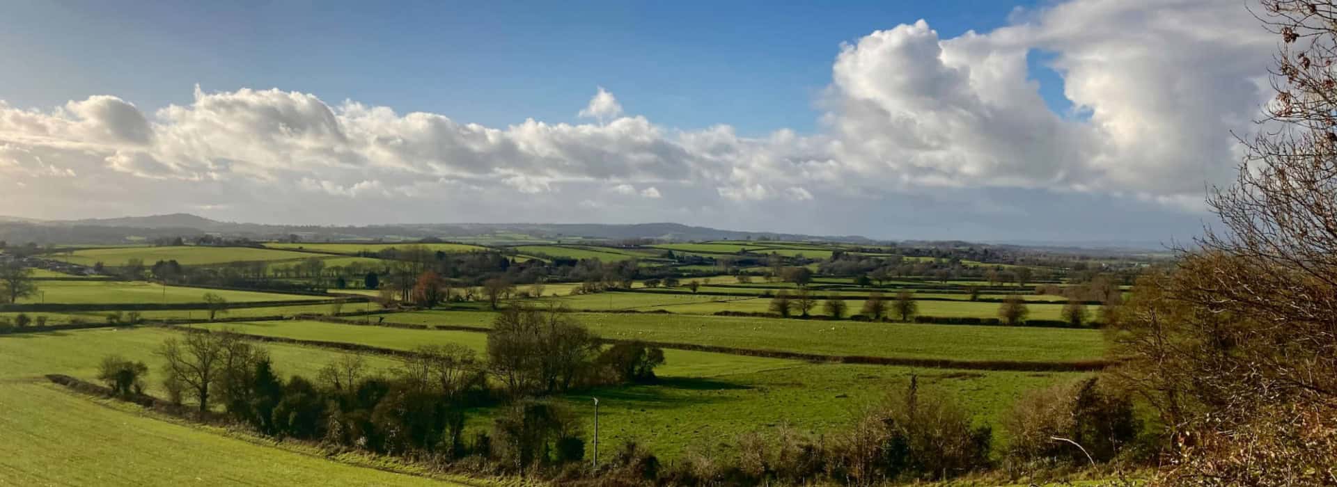 Green fields and hedgerows under a blue sky with clouds on a bright, sunny day in the countryside.