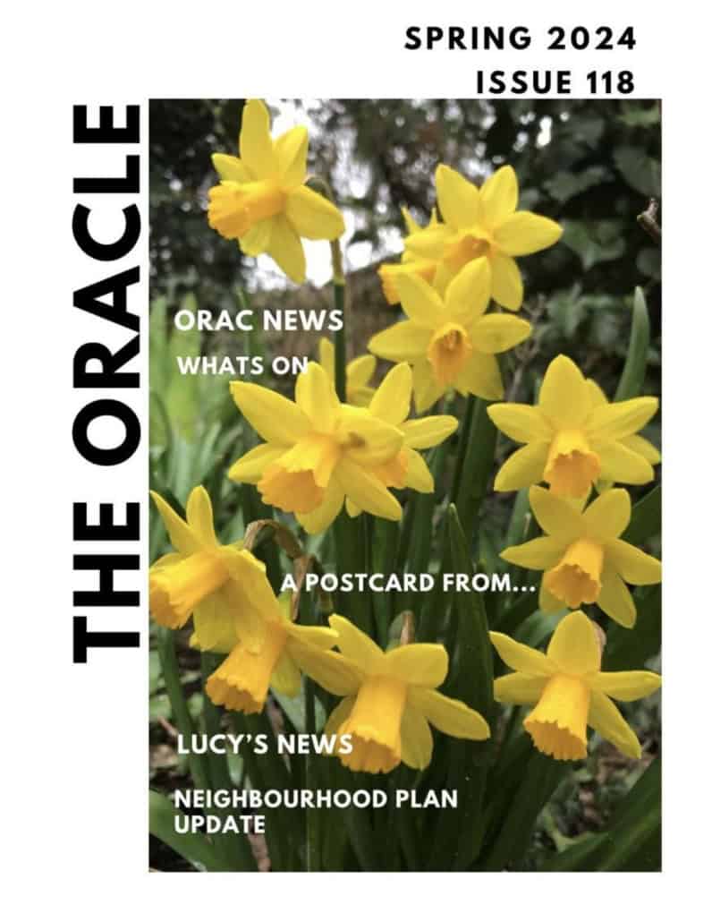 Cover of "The Oracle" Spring 2024, featuring yellow daffodils and magazine section titles over the flowers.