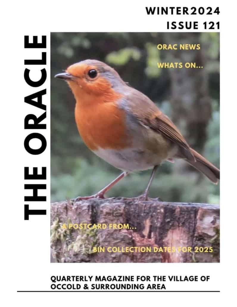 A robin perched on a branch is featured on the cover of The Oracle Winter 2024 magazine, Issue 121.